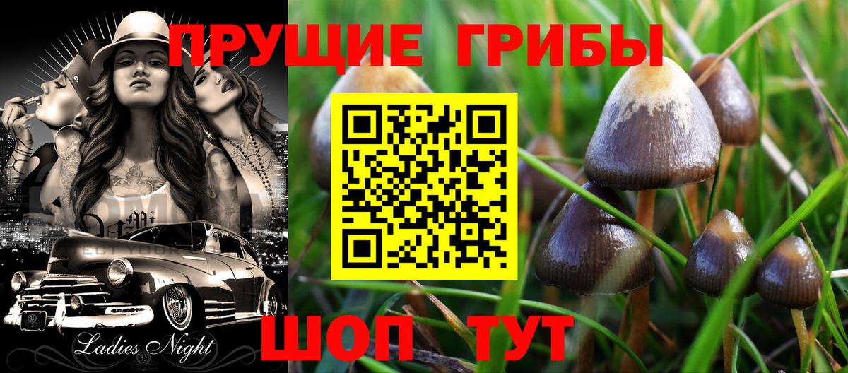Галлюциногенные грибы мухоморы Керчь